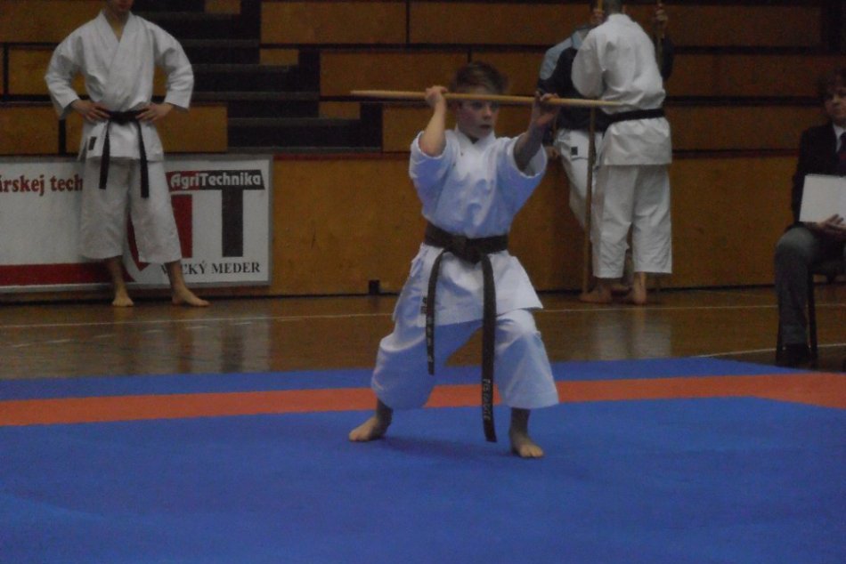 FKŠ Prievidza v Šali na štvrtom pohári Federácie v karate