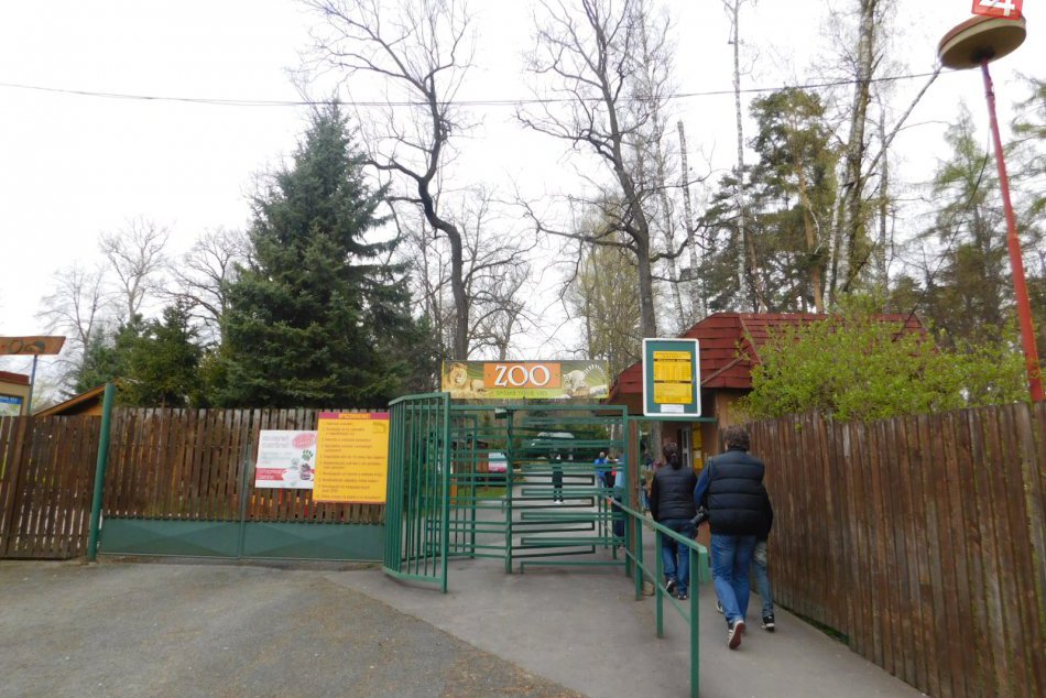 OBRAZOM:  Na návštevníkov spišskonovoveskej zoo čakalo niekoľko noviniek...