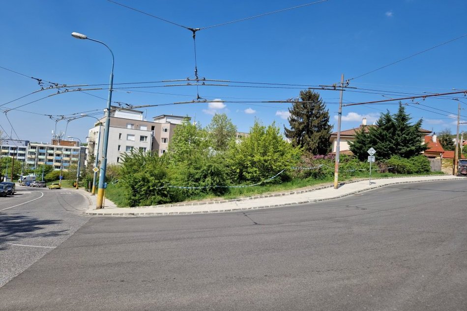 Diviačica na Kramároch