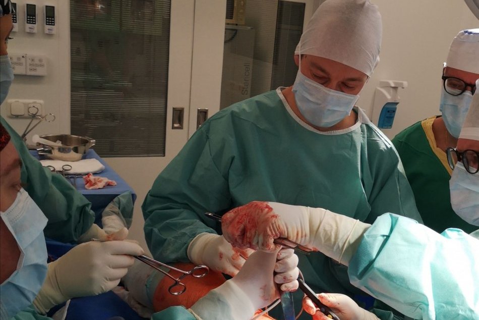 Špičkový ortopéd - traumatológ sa po 9 rokoch vrátil do nemocnice vo Zvolene