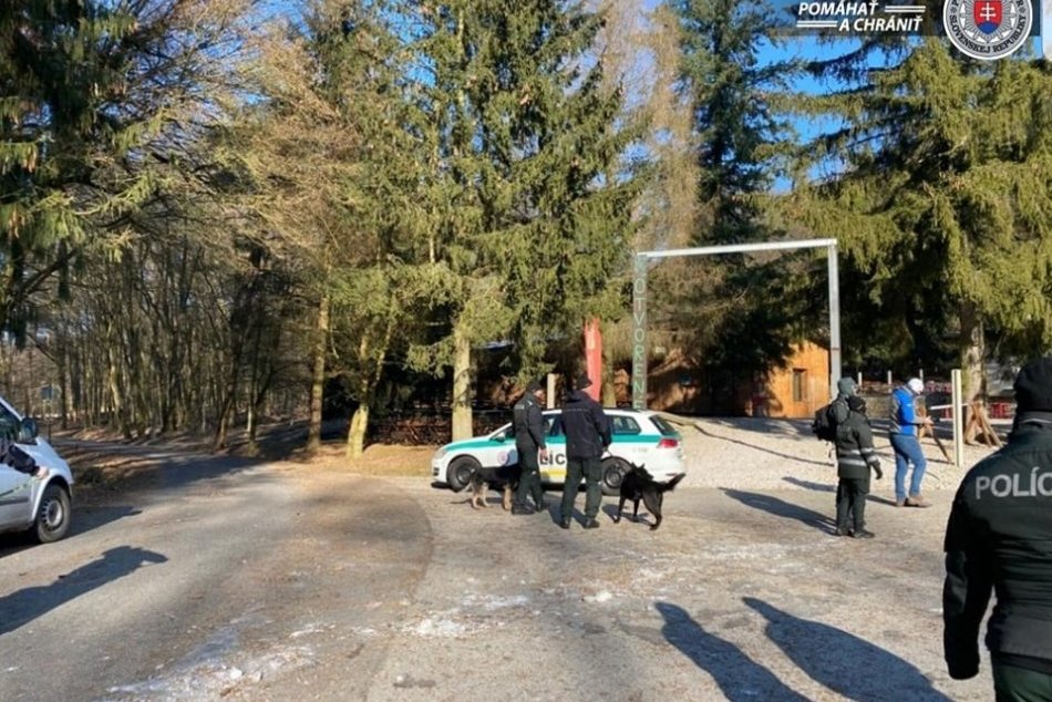 Policajné pátranie