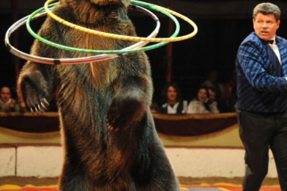 Cirkus