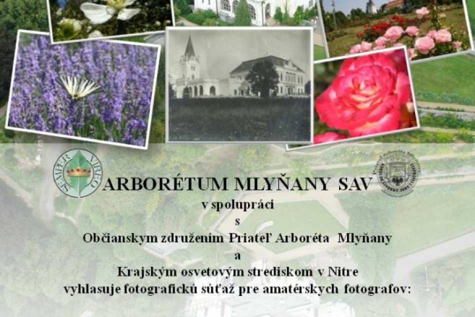 Fotosutaz_arboretum