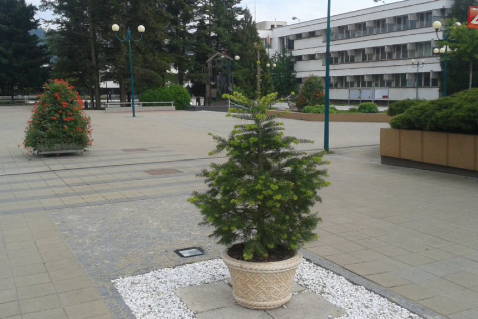 Kvetinová výzdoba v Považskej Bystrici: Centrum mesta je krajšie