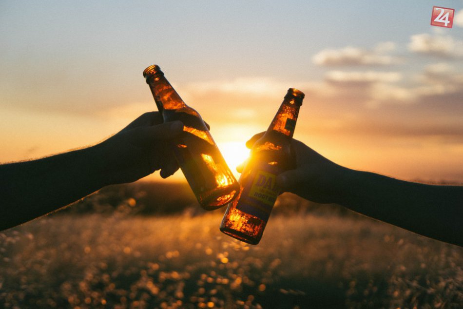 Pivo