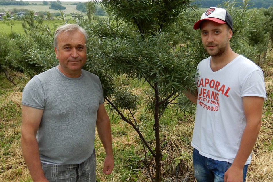 FOTO z rodinnej farmy v Mysline: Venujú sa aj pestovaniu rakytníka!