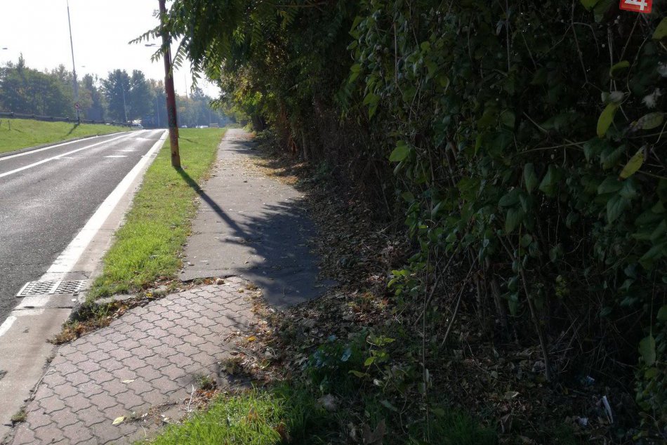 Dobrovoľníci vyčistili cyklochodník na Dolnozemskej.