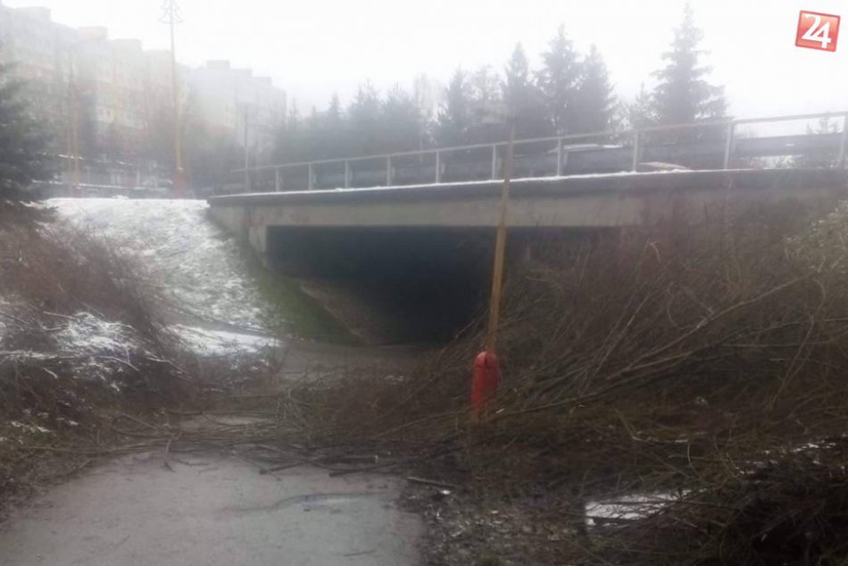 Aj toto sa deje v Považskej z piatka na sobotu: Konáre nahádzané na chodník...