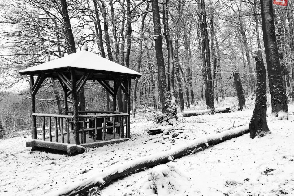 Zasnežená nedeľa na Kamzíku (14. 1. 2018)