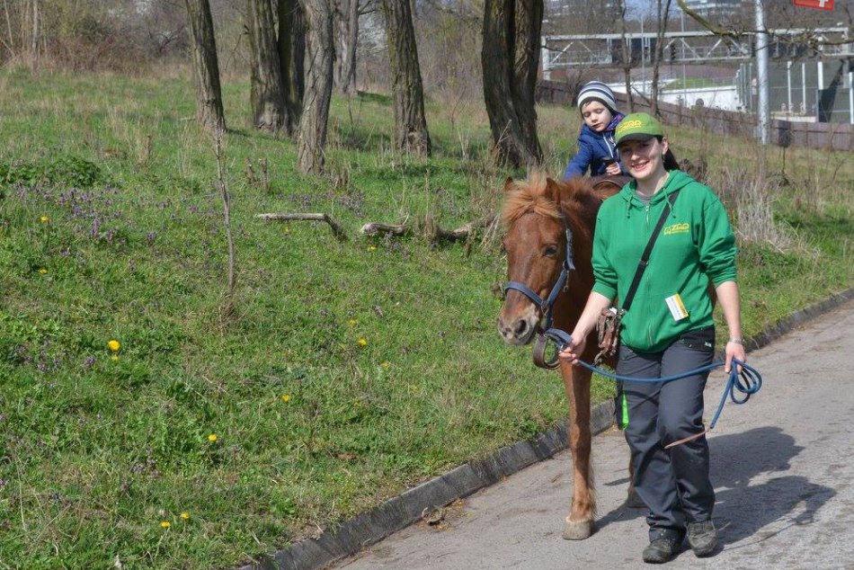 Práca v ZOO