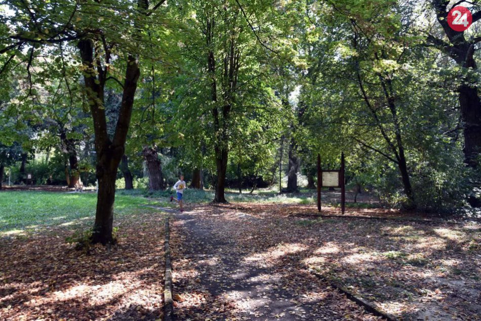 FOTO zo zaujímavého parku na Zemplíne: Ukrýva aj vyše 300-ročné duby