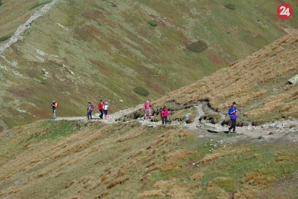Roháče