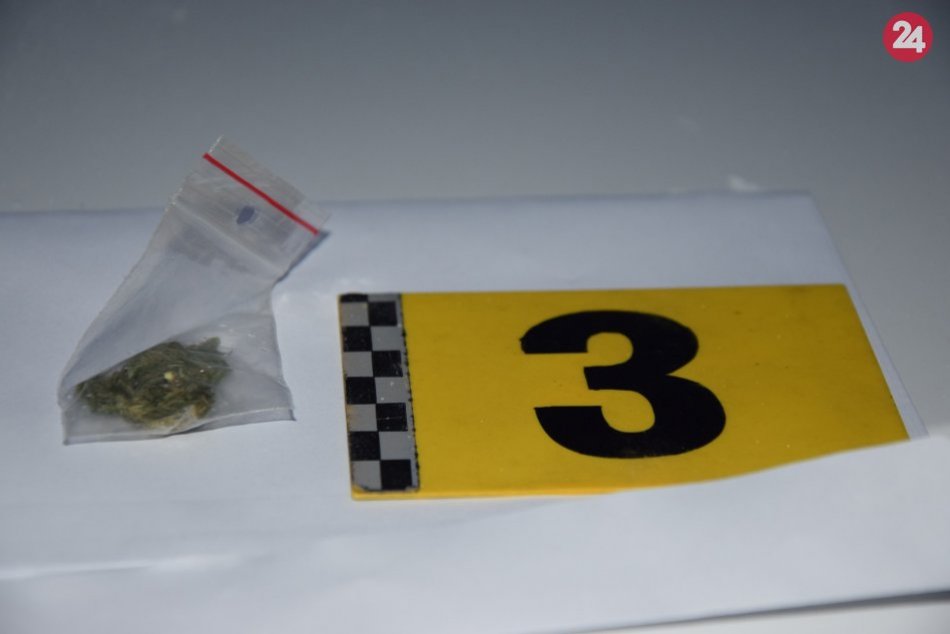 Policajné zábery zo zásahu v Dolnej Ždani