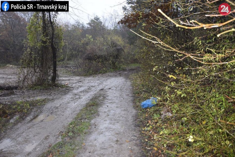 Polícia upozornila na otrasný prípad: Našli zvlečenú kožu jelenčaťa