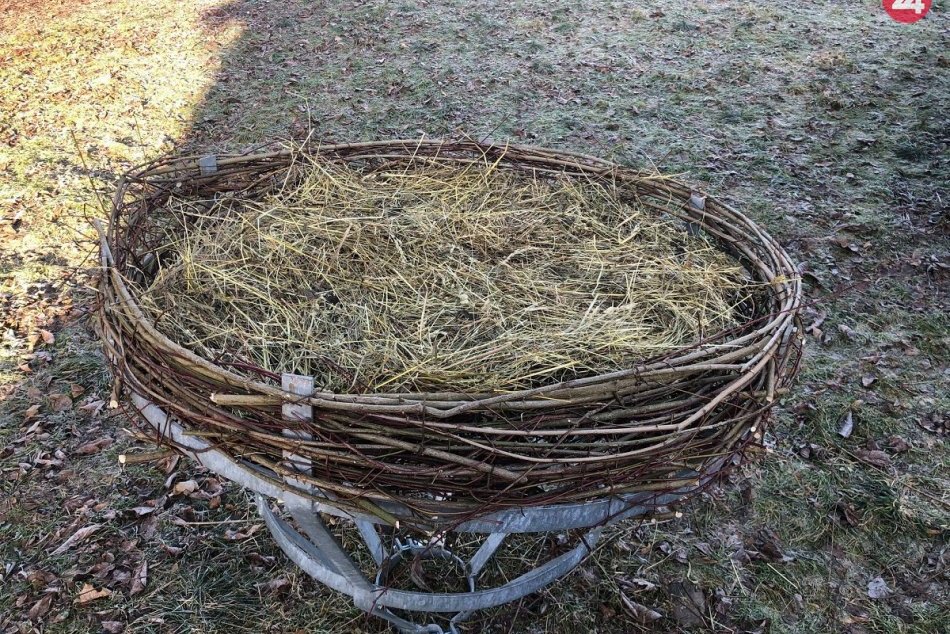 Obrazom: V Župčanoch pri Prešove bocianovi vymenili hniezdo