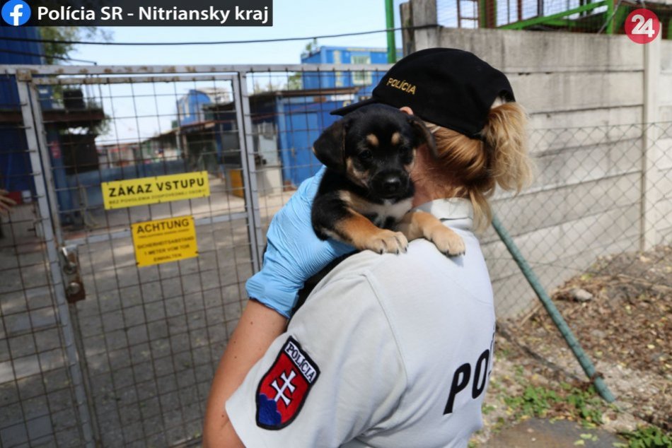 Šteniatko zamkli v skrinke nákupného centra