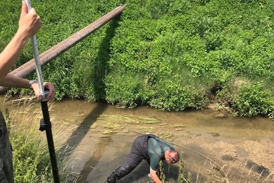 Polícia vyšetruje poškodzovanie životného prostredia
