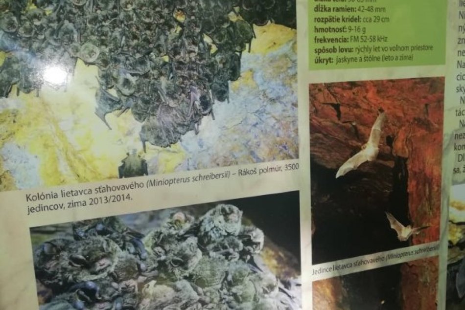 Obrazom: V Rákoši predstavili banícku históriu