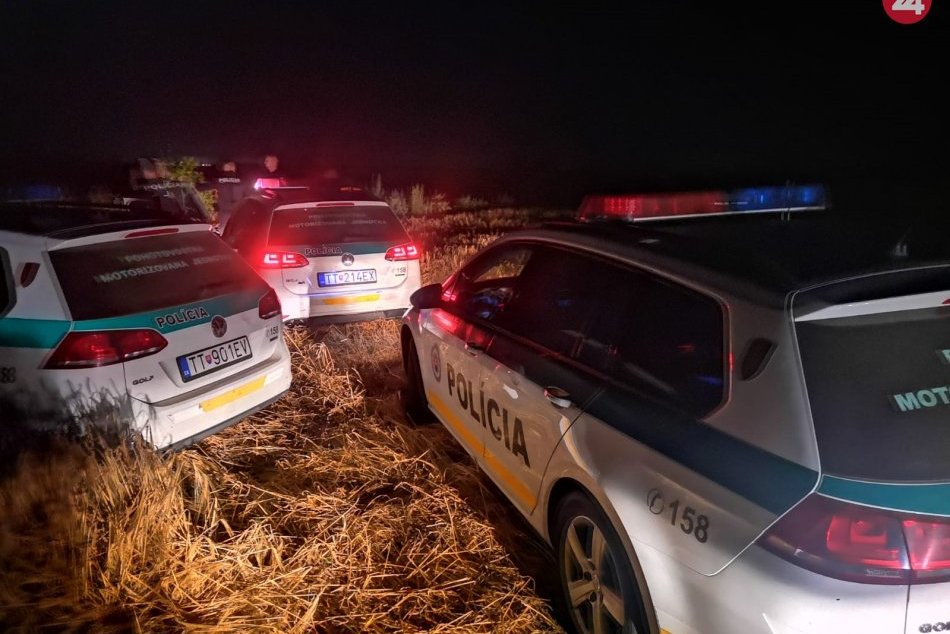 Vodič sa snažil policajtov vytlačiť z cesty, skončil v poli