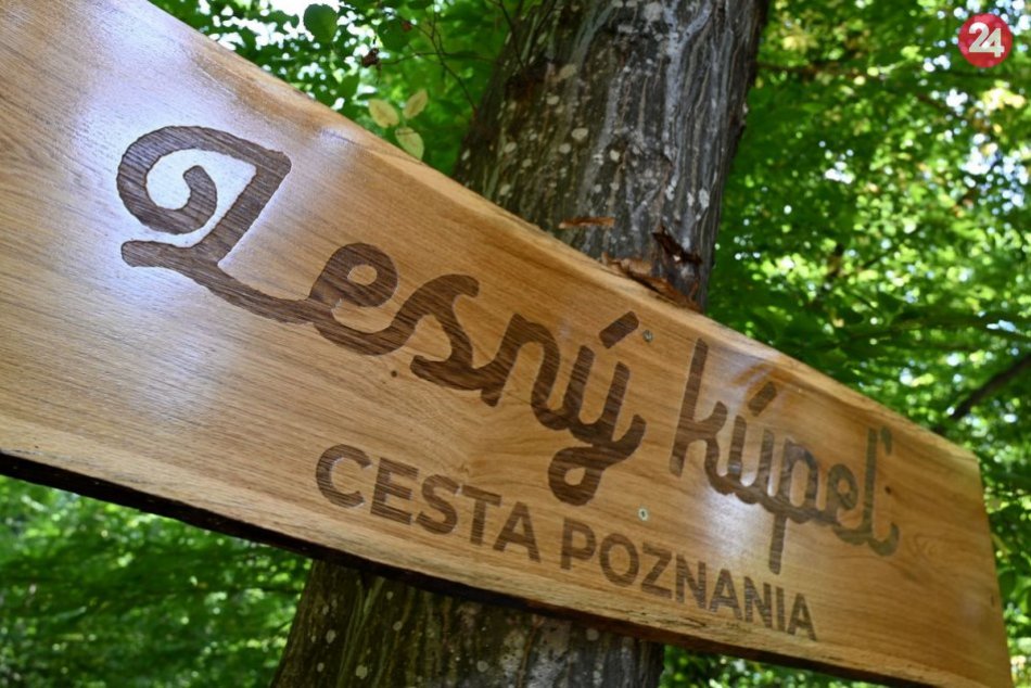 Lesný kúpeľ
