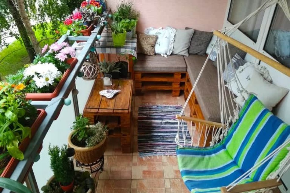 Obrazom: Najkrajšie predzáhradky a okolie domovov v Prešove