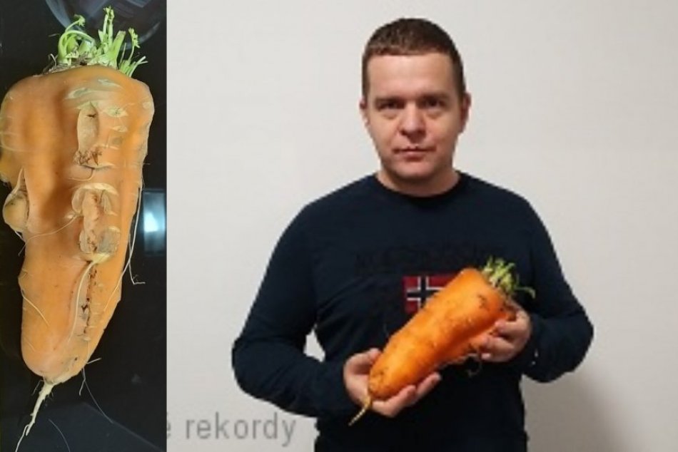 O slovenské rekordy sa pričinili aj v Nitrianskom kraji