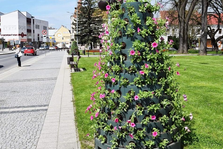 V OBRAZOCH: Brezno doslova rozkvitlo do krásy