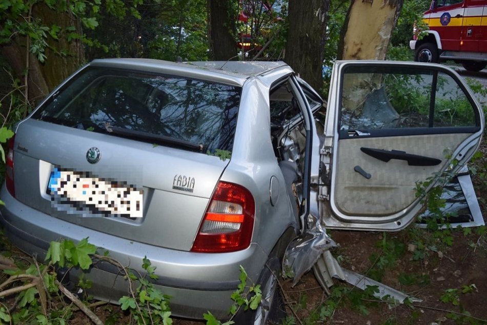 Vodič neprežil náraz autom do stromu