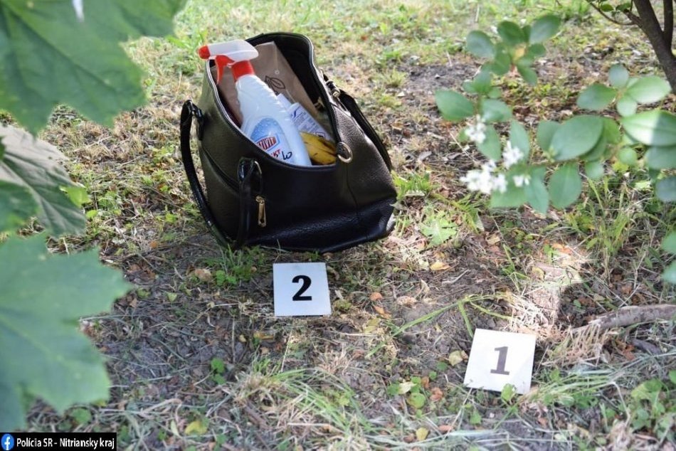 OBRAZOM: Polícia objasnila dve lúpeže v Šali
