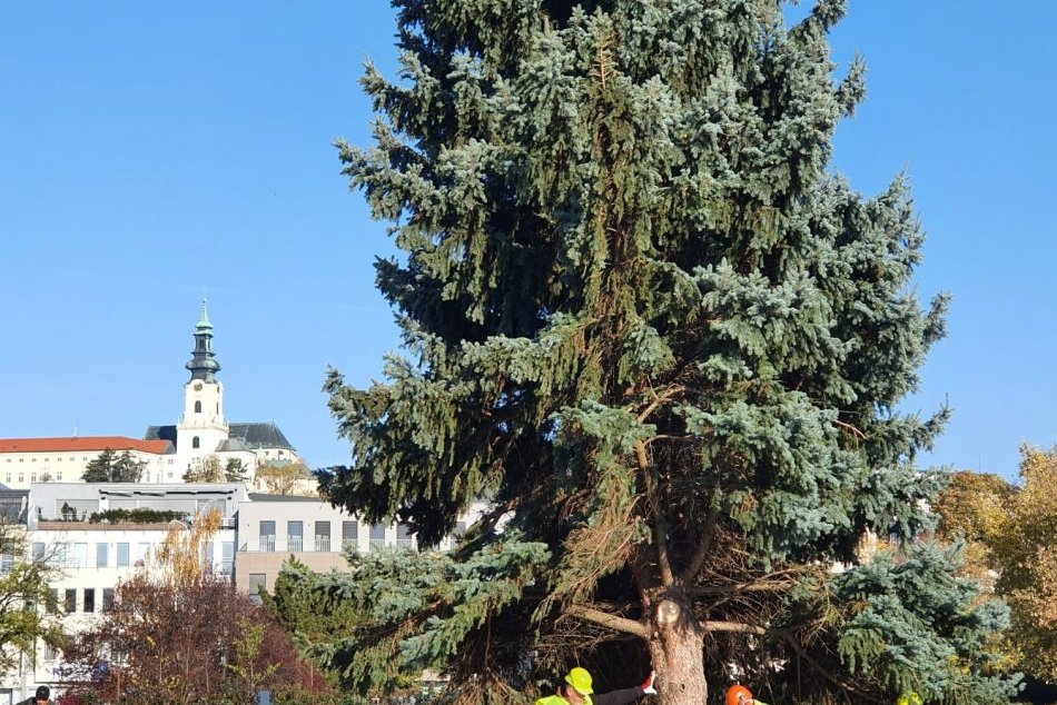 Vianočný stromček na námestí v Nitre v roku 2021