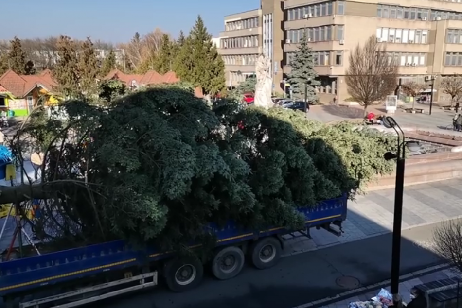Pozrite si, ako doviezli vianočný stromček do Michaloviec