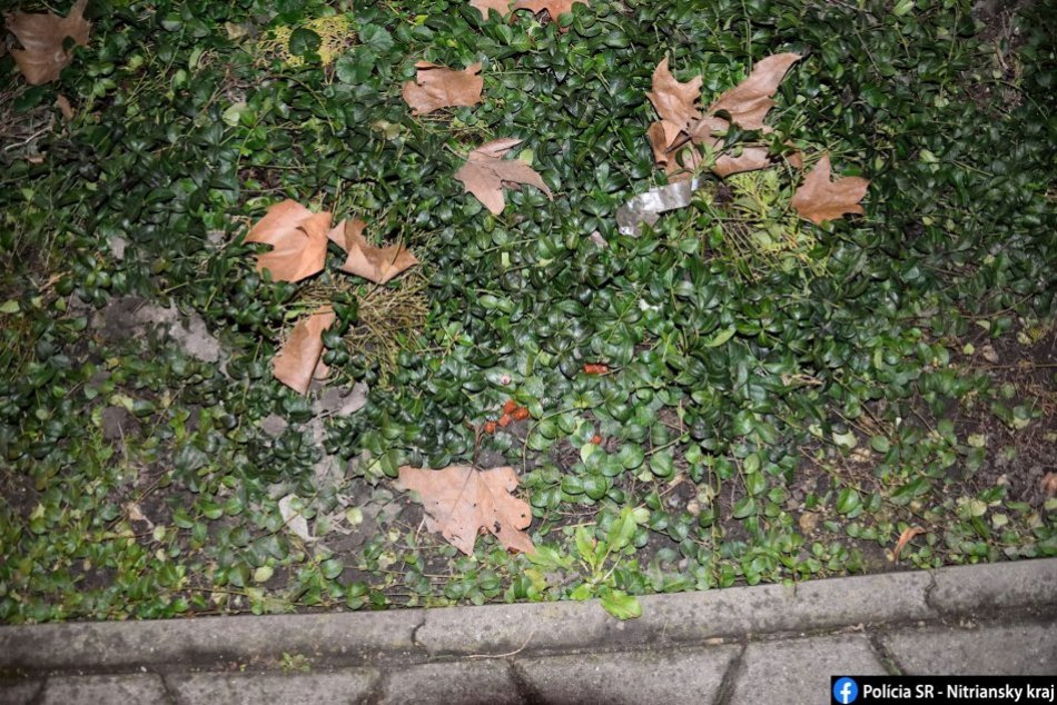 Polícia obvinila muža, ktorý mal nastražiť nebezpečné návnady