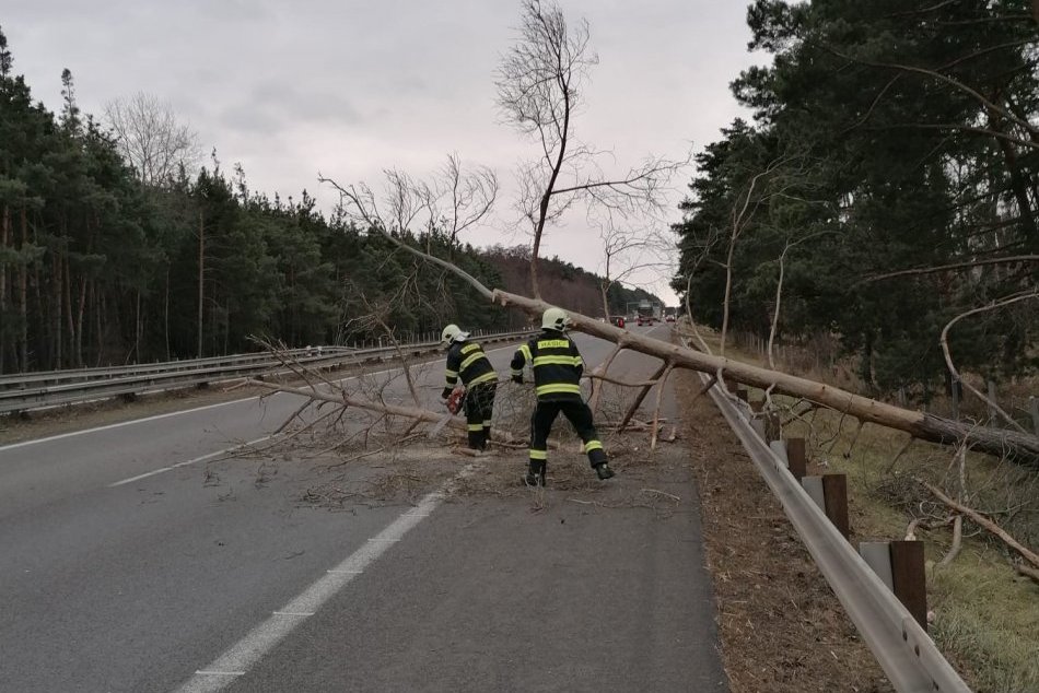 Na diaľnici D2 spadol strom na prechádzajúce BMW