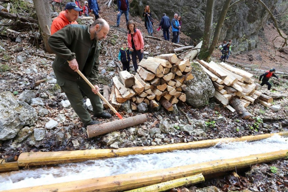 V OBRAZOCH: Spúšťanie vyťaženého dreva v drevenom vodnom žľabe v Rakytove