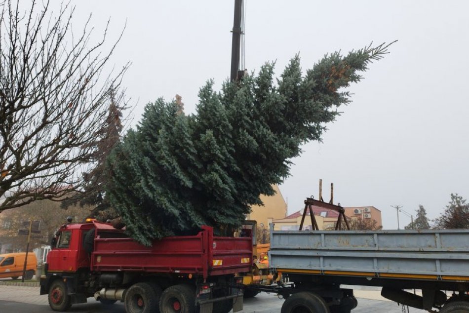 Vianočný stromček na námestí v Michalovciach